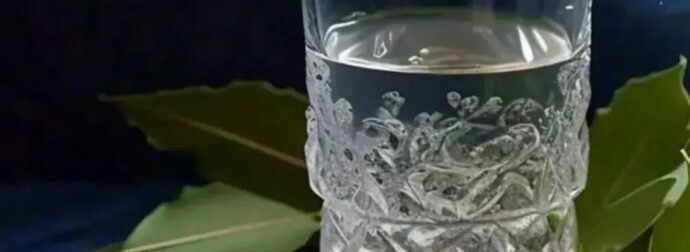Δεν το ξέρει κανείς: Γιατί πρέπει να βάζετε φύλλα δάφνης στο νερό πριν από τις 24 Δεκεμβρίου