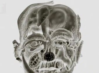 Το περίεργο οπτικό τεστ που υπόσχεται να αποκαλύψει το «χειρότερο ελάττωμά» σας με βάση το πρώτο ζώο που βλέπετε