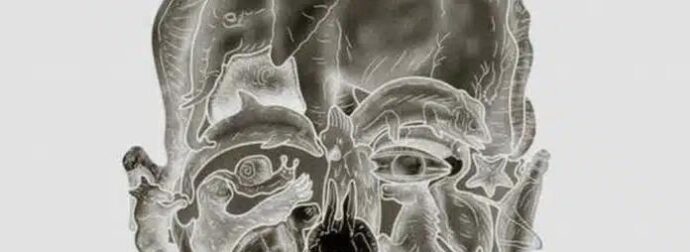 Το περίεργο οπτικό τεστ που υπόσχεται να αποκαλύψει το «χειρότερο ελάττωμά» σας με βάση το πρώτο ζώο που βλέπετε