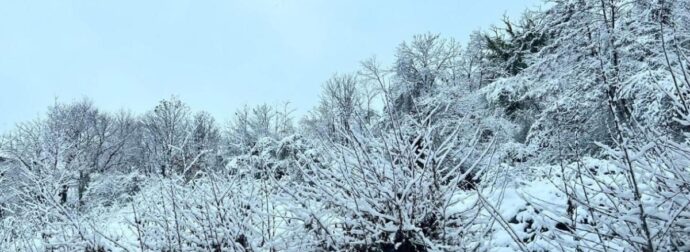 Καιρός: «Βουτιά» της θερμοκρασίας με χιονοπτώσεις σε χαμηλά υψόμετρα