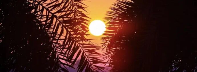 Έρχονται οι Αλκυονίδες μέρες – Πότε ο καιρός θα θυμίζει άνοιξη