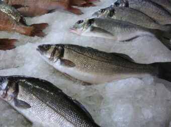 Περίπου το 1/3 των Ελλήνων καταναλώνει επικίνδυνα ψάρια πάνω από 3 φορές την εβδομάδα