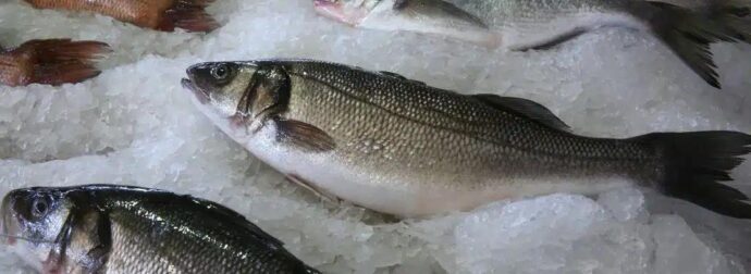 Περίπου το 1/3 των Ελλήνων καταναλώνει επικίνδυνα ψάρια πάνω από 3 φορές την εβδομάδα