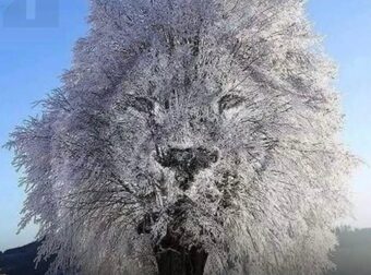 Η οπτική ψευδαίσθηση αποκαλύπτει αν είσαι «εσωστρεφής» ή «δυναμικός» ανάλογα με το τι βλέπεις