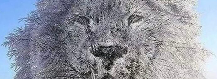 Η οπτική ψευδαίσθηση αποκαλύπτει αν είσαι «εσωστρεφής» ή «δυναμικός» ανάλογα με το τι βλέπεις