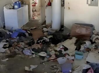 Βασιλιάδες της ακαταστασίας: Ποια είναι τα 3 πιο ανοργάνωτα ζώδια