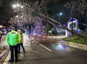 «Τον βρήκαμε νεκρό κάτω από τις ρόδες ενός ΙΧ»: Συγκλονιστική μαρτυρία για τον πνιγμό του 54χρονου στη Νέα Μάκρη