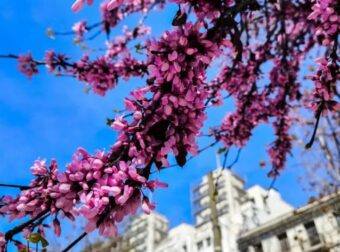 Σκέτη απογοήτευση ο καιρός το Πάσχα 2026 – Ανατροπή στην πρόγνωση