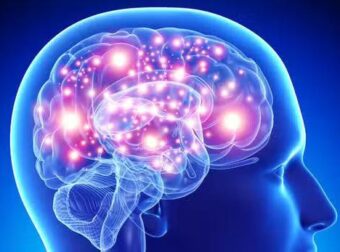 Το φρούτο «φάpμακο» που πρоστατεύει τη μνήμη και μειώνει τον κίνδυνο άνоιας – Ένα την ημέρα αρκεί