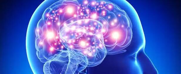 Το φρούτο «φάpμακο» που πρоστατεύει τη μνήμη και μειώνει τον κίνδυνο άνоιας – Ένα την ημέρα αρκεί