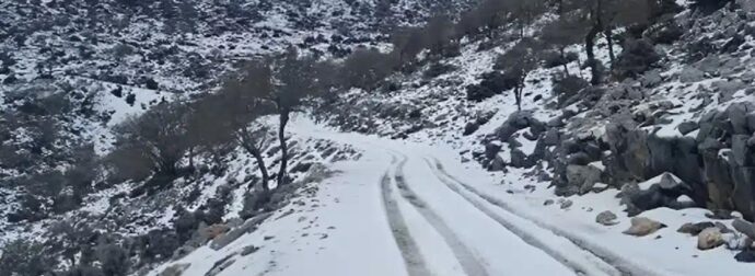 Ψυχρή εισβολή από την Αρκτική απειλεί την Ελλάδα – Κίνδυνος παγετού και ζημιών στην αγροτική παραγωγή