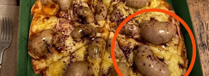 Παρήγγειλα μια πίτσα το βράδυ. Ο ντελιβεράς μου την έφερε.