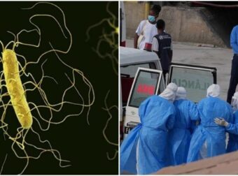 Παγκόσμιος συναγερμός: 101 κρούσματα χανταϊού! Τρεις νεκροί και το στέλεχος Andes που «τρομάζει» τον Ατλαντικό!