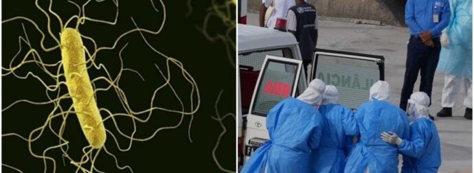 Παγκόσμιος συναγερμός: 101 κρούσματα χανταϊού! Τρεις νεκροί και το στέλεχος Andes που «τρομάζει» τον Ατλαντικό!