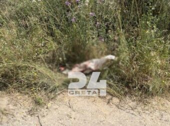 ΣΟΚ: ΕΤΣΙ ΒΡΕΘΗΚΕ ΜΕΣΑ ΣΤΑ ΑΙΜΑΤΑ Η 28ΧΡΟΝΗ ΣΤΟ ΗΡΑΚΛΕΙΟ