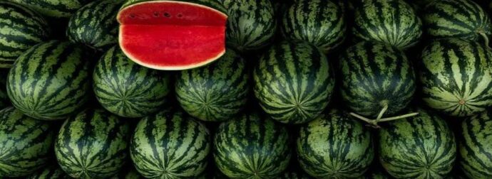 ΘΡΗΝΕΙ ΟΛΗ Η ΧΩΡΑ: ΤΕΤΡΑΜΕΛΗΣ ΟΙΚΟΓΕΝΕΙΑ ΕΦΑΓΕ ΚΑΡΠΟΥΖΙ ΚΑΙ ΠΕΘΑΝΕ