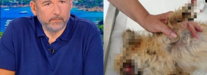 ΑΥΤΟΣ ΕΙΝΑΙ Ο ΓΝΩΣΤΟΣ ΜΟΥΣΙΚΟΣΥΝΘΕΤΗΣ ΠΟΥ ΚΑΤΗΓΟΡΕΙΤΑΙ ΓΙΑ ΚΑΚΟΠΟΙΗΣΗ ΖΩΟΥ