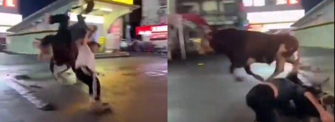 Βίντεο- σοκ από την Κίνα: Ταύρος απέδρασε δευτερόλεπτα πριν τη σφαγή του και σκόρπισε τον τρόμο σε πολίτες