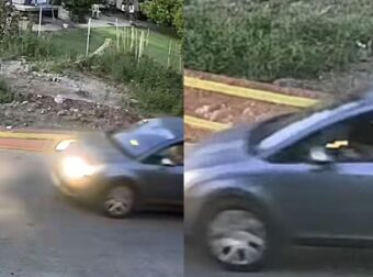 Γαστούνη: Αυτό είναι το πρόστιμο που θα πληρώσει η 60χρονη μετά την απολογία της για τη θανάτωση του σκύλου