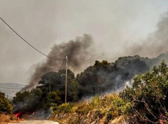 Συναγερμός στη Βοιωτία: Δασική πυρκαγιά στον Άγιο Βασίλειο