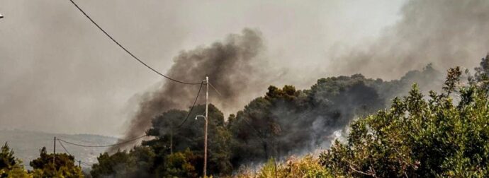 Συναγερμός στη Βοιωτία: Δασική πυρκαγιά στον Άγιο Βασίλειο