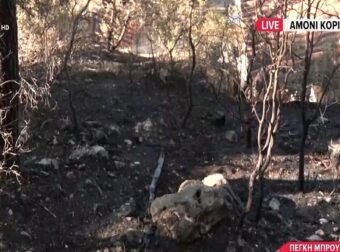 Κορινθία: Πρώην υποψήφια βουλευτής η 57χρονη που συνελήφθη για εμπρησμό – Το βίντεο-ντοκουμέντο που την «έκαψε» και οι απίστευτες δικαιολογίες της!