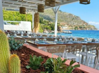 Paradisos Αll Day Restaurant Bar: Το γαστρονομικό σημείο συνάντησης του καλοκαιριού βρίσκεται στη Λέρο
