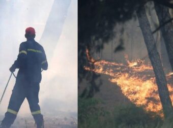 Δραματική η κατάσταση στην Χαλκιδική: «Καίγονται σπίτια» λένε αντιδήμαρχοι