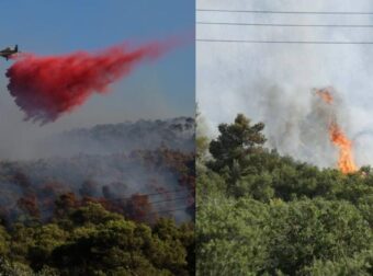Καλύτερη η εικόνα από την φωτιά στην Οινόη: Επιχειρούν 210 πυροσβέστες – Συγκλονίζουν τα βίντεο από το σημείο