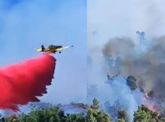 Φωτιά στην Οινόη: Γιγαντιαία επιχείρηση με 155 πυροσβέστες και 22 εναέρια μέσα – Απομακρύνονται οι κάτοικοι από τα σπίτια [βίντεο]