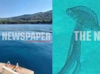 Μωβ μέδουσες σε διάσημη ελληνική παραλία: Έκπληκτοι οι λουόμενοι, βγήκαν άρον άρον από την θάλασσα – Δείτε φωτογραφίες