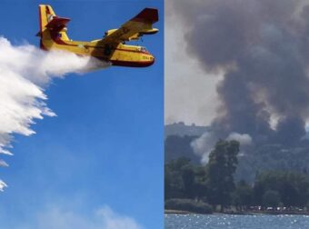 Συναγερμός για φωτιά στον Ωρωπό: Ήχησε το 112 – Κινητοποίηση της Πυροσβεστικής