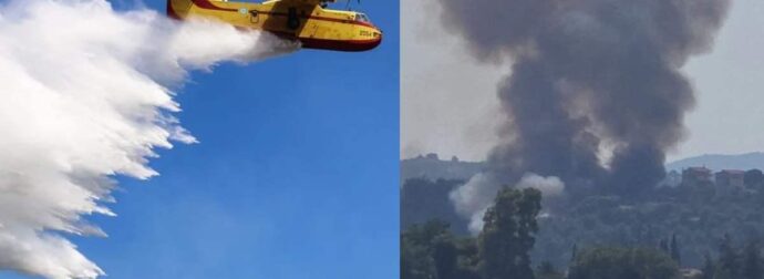 Συναγερμός για φωτιά στον Ωρωπό: Ήχησε το 112 – Κινητοποίηση της Πυροσβεστικής