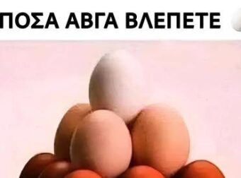 Πόσα αυγά υπάρχουν στην εικόνα; Ο οπτικός γρίφος που μπερδεύει σχεδόν όλους