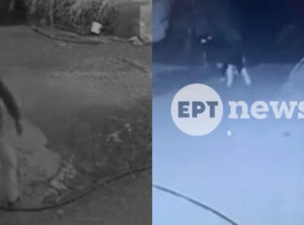 Ρέθυμνο: Βίντεο από την άγρια επίθεση στον 69χρονο κτηνοτρόφο – Σοκάρει αυτό που έκανε ο δράστης
