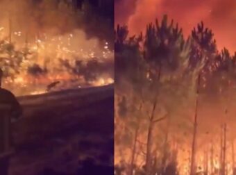 Σπαρακτικό βίντεο από τις πυρκαγιές στη Γαλλία: Ελάφι τρέχει να σωθεί και οι πυροσβέστες του ρίχνουν νερό
