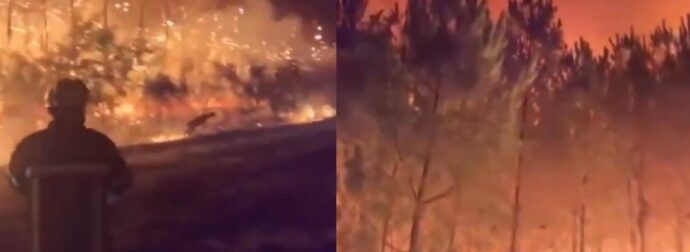 Σπαρακτικό βίντεο από τις πυρκαγιές στη Γαλλία: Ελάφι τρέχει να σωθεί και οι πυροσβέστες του ρίχνουν νερό