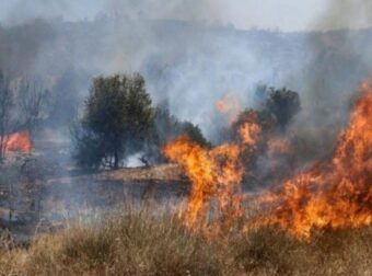Σε εξέλιξη η φωτιά στο Πλωμάρι Λέσβου: Ενισχύθηκαν οι πυροσβεστικές δυνάμεις με έξι εναέρια μέσα