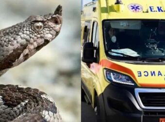 Χανιά: Στο νοσοκομείο 13χρονος μετά από δάγκωμα φιδιού σε παραλία της Κισσάμου