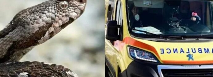 Χανιά: Στο νοσοκομείο 13χρονος μετά από δάγκωμα φιδιού σε παραλία της Κισσάμου