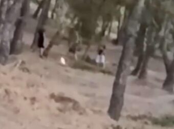 Άνω Βριλήσσια: Ανήλικοι έβαζαν φωτιά στο δάσος για «challenge» και προσπαθούσαν μετά να τη σβήσουν