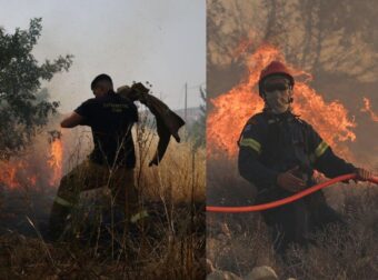 Φωτιά στην Ελασσόνα: Μεγάλη κινητοποίηση της Πυροσβεστικής – Σηκώθηκαν εναέρια μέσα